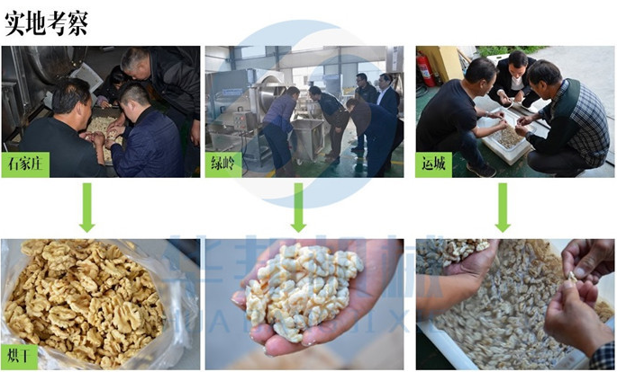 小型核桃仁去皮機