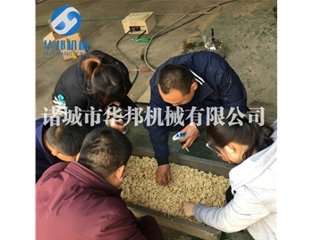 發貨---大理南澗 定制核桃仁去皮流水線