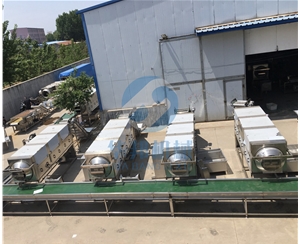 節能循環水 核桃仁去皮機