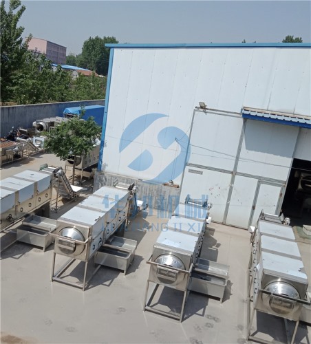 核桃仁去皮機(jī) 華邦機(jī)械1人工操作