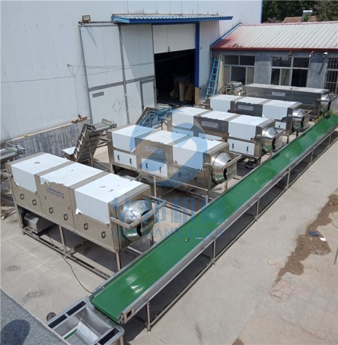 終身定做核桃仁去皮機 華邦機械水循環去衣核桃仁