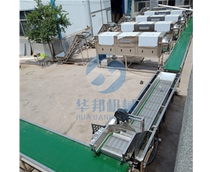 廠房需求定制的大型核桃仁去皮流水線 核桃仁去皮機