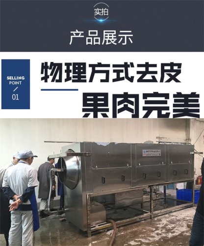 中型核桃仁去皮機(jī)