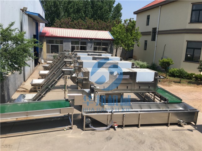 核桃仁去皮機 去皮率高達98% 2年保修