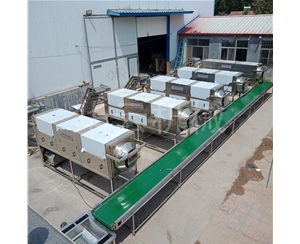 使用壽命長 華邦機械上新核桃仁去皮機