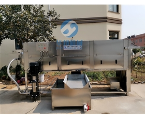 核桃仁去皮機 核桃仁褪衣機器