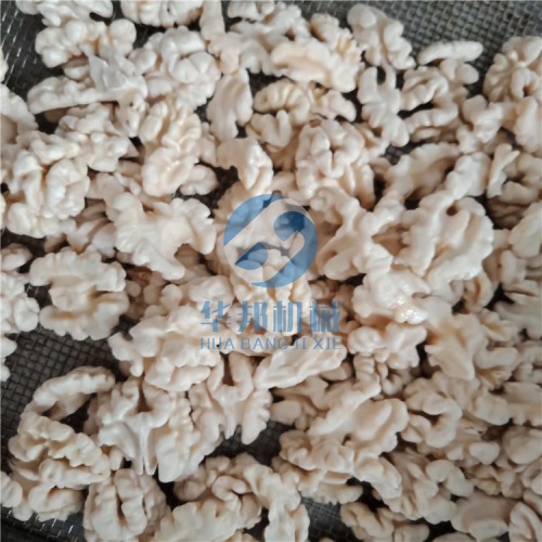 終生維護核桃仁脫衣機 去皮機支持免費試機