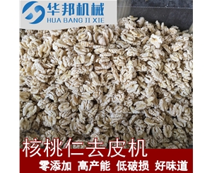 全自動核桃仁去皮機 華邦機械