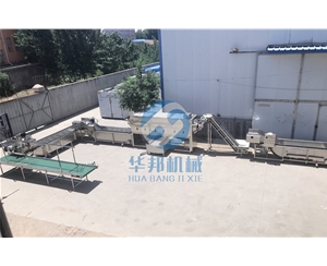 核桃仁去皮機優勢 核桃仁深加工