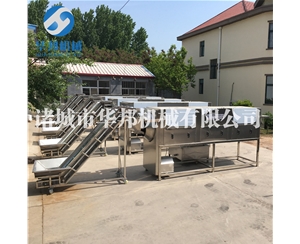 上門安裝核桃仁脫皮機(jī) 華邦機(jī)械核桃仁去皮機(jī)