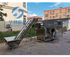 新疆核桃仁去皮機(jī) 核桃仁去皮機(jī)廠(chǎng)家 終生維護(hù)