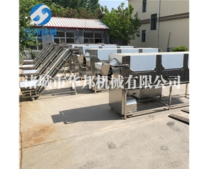 純物理核桃仁去皮機(jī) 無品種限制核桃仁去衣機(jī)