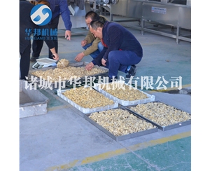 核桃仁脫皮機 華邦機械大批量核桃仁去衣設備