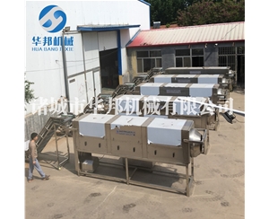 核桃仁去皮機(jī) 華邦機(jī)械現(xiàn)機(jī)考察