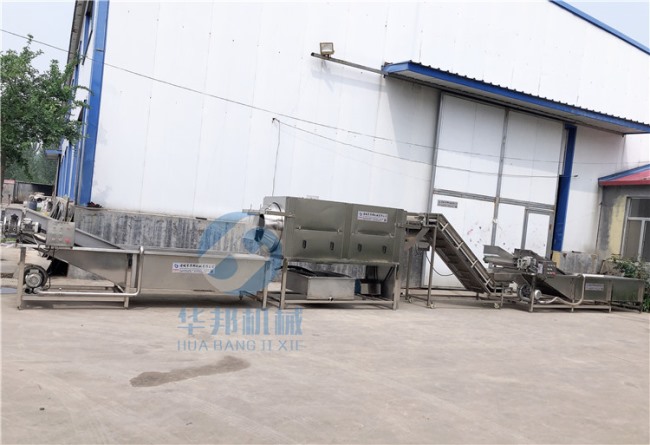 1人操作 核桃仁脫衣機 全自動去皮