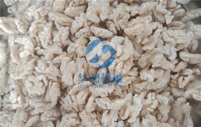 大型核桃仁去皮機