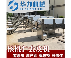 大型六角核桃仁去皮機 廠家直銷 廠房設計 核桃仁脫皮流水線