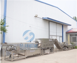 根據廠房定制 核桃仁脫皮機