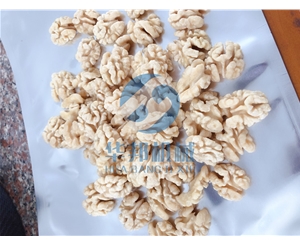 不加藥水 核桃仁脫衣機