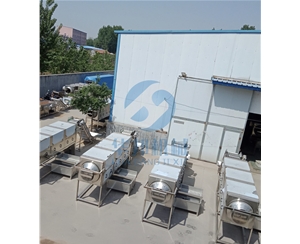 現(xiàn)場操作試機(jī) 核桃仁去皮機(jī)