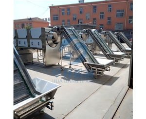 天然核桃仁去皮機 物理去皮核桃衣