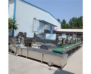 核桃仁去皮機 頭路