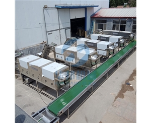 水壓調節核桃仁去皮機 去皮率98%去衣核桃仁