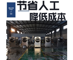 新二核桃仁去皮機 規格齊全