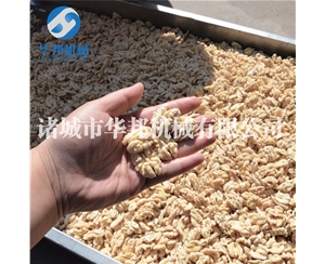 提供各種規格 核桃仁去皮機 現貨