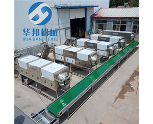 生產核桃仁去皮機 連續式運作