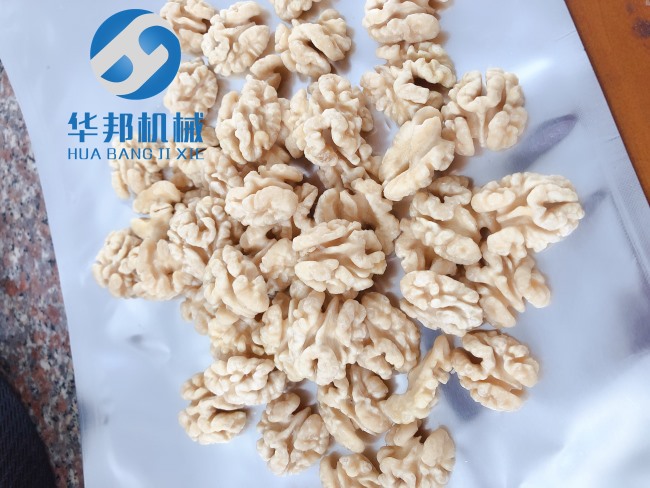 中型核桃仁脫衣機結(jié)構(gòu)