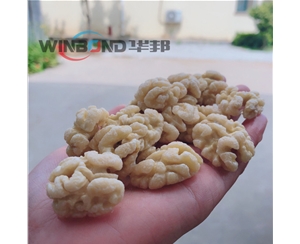 華邦供應 新2核桃仁脫皮設備 代替手工