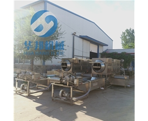 純物理核桃仁脫衣流水線 華邦核桃仁去皮機