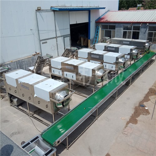 核桃仁脫衣機(jī) 華邦機(jī)械去衣核桃仁