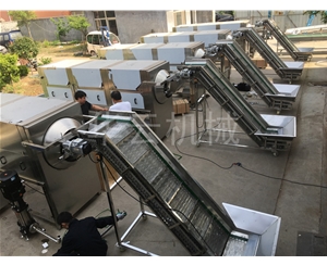 核桃仁去皮機 去衣核桃仁