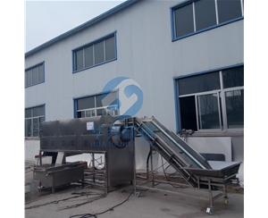 日產1-20噸 大型核桃仁去皮機