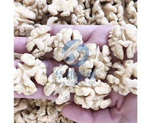 【循環水】核桃仁去皮機