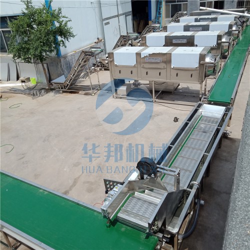 核桃仁去皮機 大型核桃仁脫衣生產線