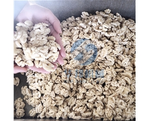 全自動(dòng)核桃加工流水線