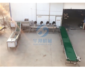 紅薯清洗機 紅薯清洗機價格