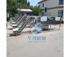 【核桃仁加工設備】核桃仁去皮機 核桃仁脫皮機