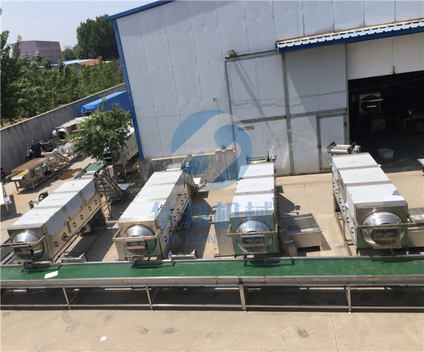 核桃仁去皮流水線 多味核桃仁設備