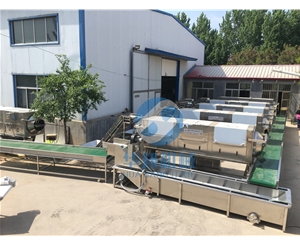 大型核桃仁去皮機 全自動核桃仁脫衣機