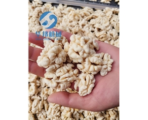 華邦機械/核桃仁去皮機/去皮核桃仁設備