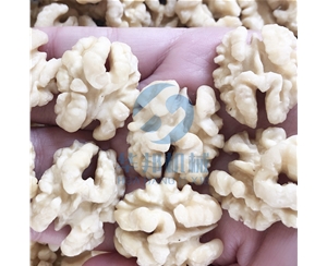 節水 核桃仁去皮機 2020新型核桃仁去皮機