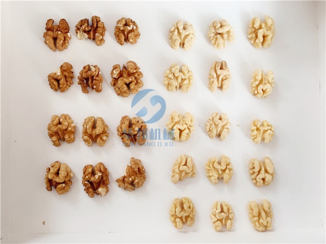 自動(dòng)款 核桃仁去皮機(jī)