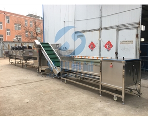 規格齊全 紅薯清洗機 洗紅薯機 華邦機械