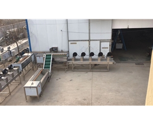 紅薯毛輥清洗機 紅薯清洗風干流水線