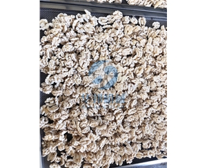 多型號 核桃仁去皮機