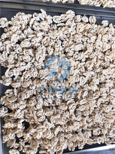 多型號 核桃仁去皮機(jī)